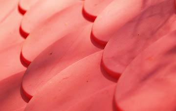 Foregin plastic roof costs