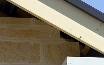soffit repair Foregin
