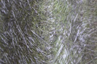 Foregin fibreglass roof work