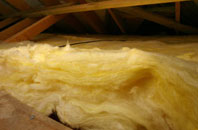 Foregin pitch roof insulation